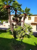 Mallorca Property Centre - Bild 9