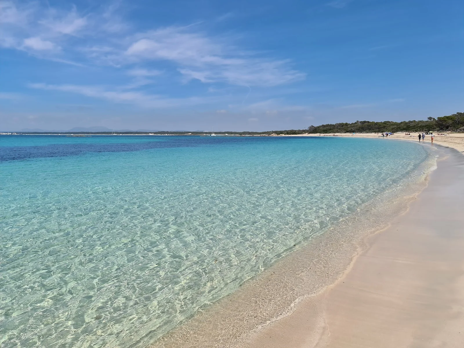 Platja Estanys