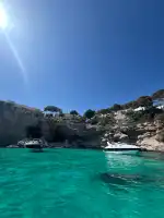 The Charter Yard - Image 2