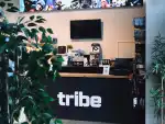 Tribe