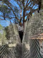 Jungle Parc - Image 4