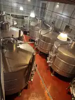 Bodega Son Puig - Bild 3