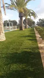 Gartenbau Mallorca - Bild 10