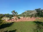 Gartenbau Mallorca - Bild 6