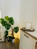 Ginger Redwood - Bild 6