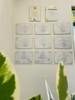 Ginger Redwood - Bild 9