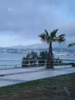 Bolero Mallorca - Bild 3