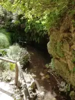 Zona d'acampada sa Font Coberta - Image 10