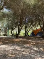 Campament Hipocampo - Image 9