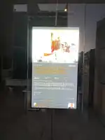 FALC Real Estate Palma - Bild 6