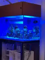 Alcúdia Magatzem - Bild 6