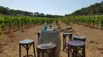Mallorca Wine Tours