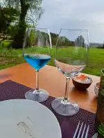 Mallorca Wine Tours - Bild 7