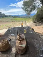 Mallorca Wine Tours - Bild 8