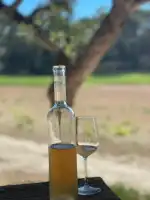 Mallorca Wine Tours - Bild 9