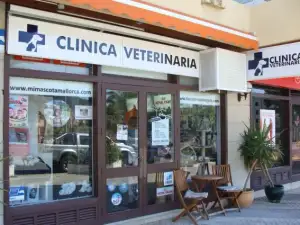 Clinica Veterinaria Cala Ratjada - Bild 1