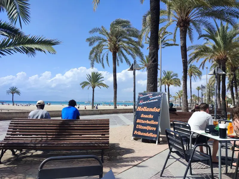 Double Dutch Sportsman - Bild 1