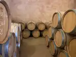 Celler Canyelles I Batle - Bild 2