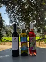 Celler Canyelles I Batle - Bild 9