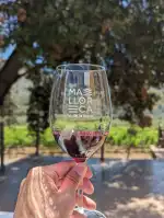 Celler Canyelles I Batle - Bild 6