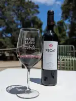 Celler Canyelles I Batle - Bild 9