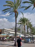 Beach House - Image 7