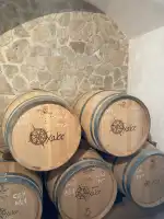 Bodegas Xaloc - Bild 10