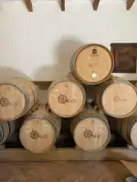 Bodegas Xaloc - Bild 10