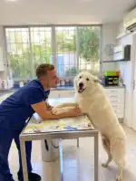 Clínica Veterinària Parc - Bild 3