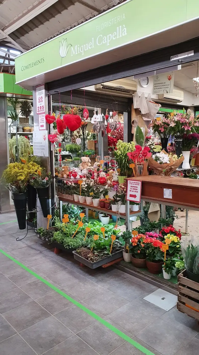 Floristería Miquel Capellà - Bild 1