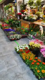 Floristería Miquel Capellà - Bild 10