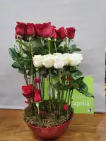 Floristería Miquel Capellà - Bild 9