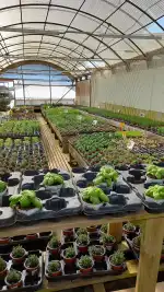 Vivers Can Juanito - Bild 3