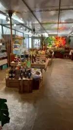 Vivers Can Juanito - Bild 4