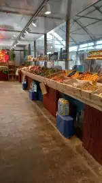 Vivers Can Juanito - Bild 7