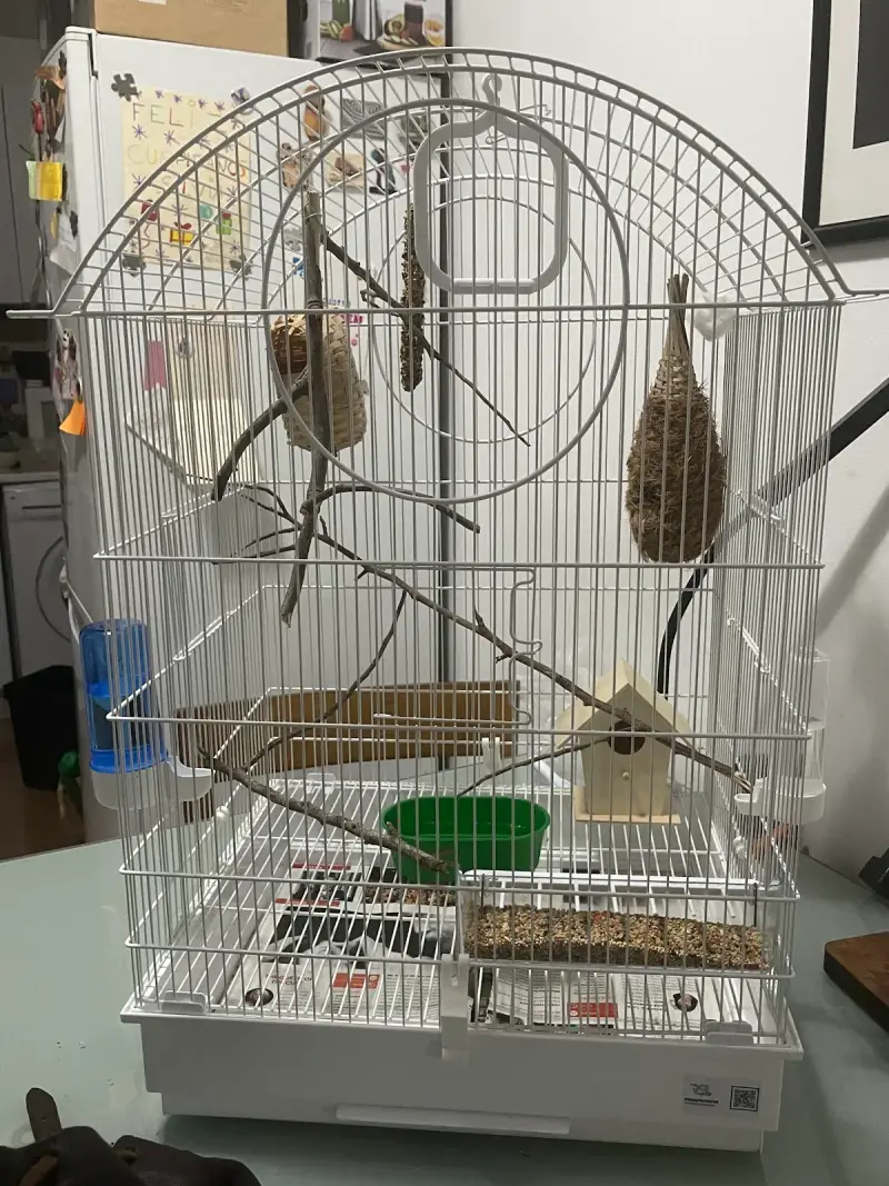 Piensos Salvà - Bild 1