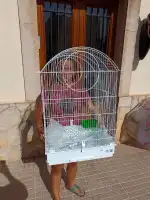 Piensos Salvà - Bild 4