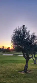 T Golf Calvia - Bild 8