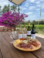 Bodegas Can Vidalet - Bild 5