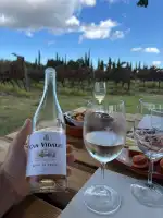 Bodegas Can Vidalet - Bild 9