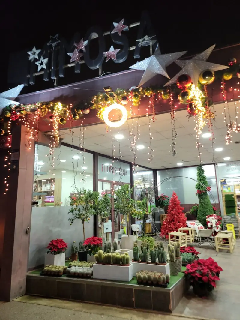 Floristería Mimosa Garden Center - Bild 1