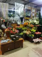 Floristería Mimosa Garden Center - Bild 10