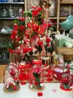 Floristería Mimosa Garden Center - Bild 4