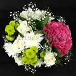 Floristeria Alfabia Natura - Bild 2