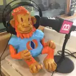 Coomunicando comunicación - Imagen 2