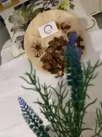 Azurit Wellness - Bild 3