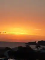 Metzgerei - Imagen 9