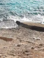 Metzgerei - Imagen 7