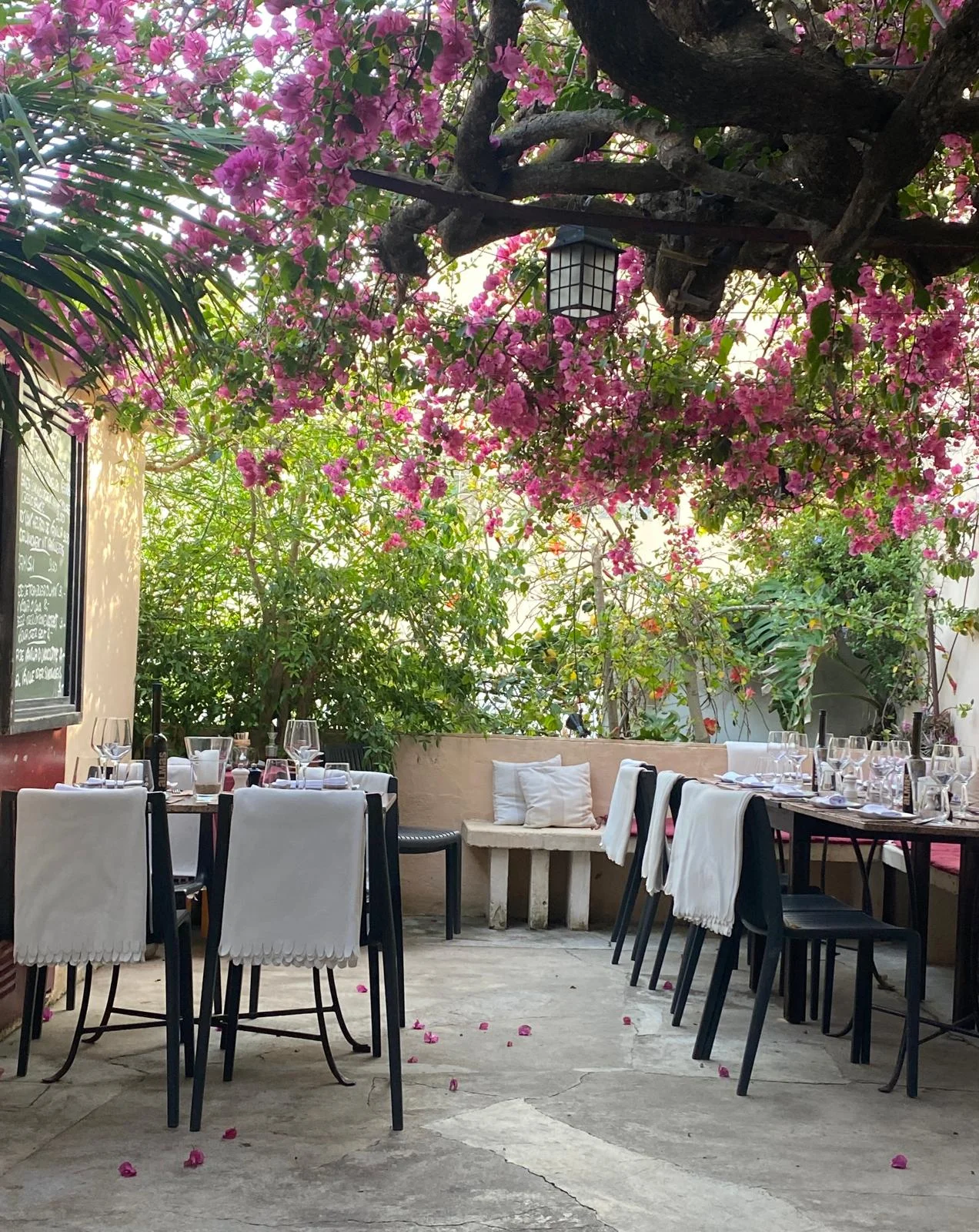 Restaurante Alegría - Bild 1