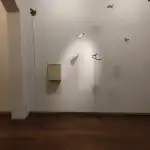 Xavier Fiol - Image 10